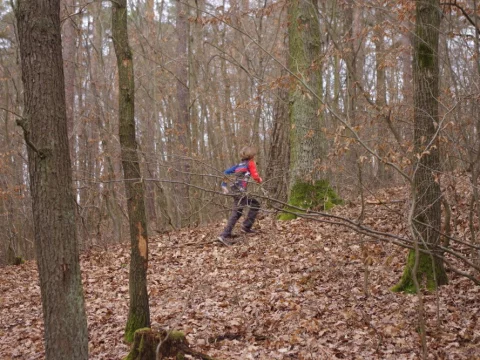 Aljaška