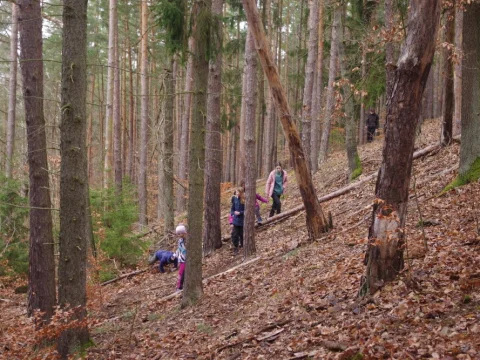 Aljaška