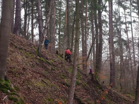 Aljaška