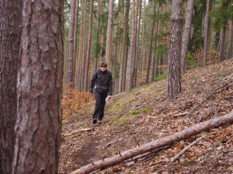 Aljaška