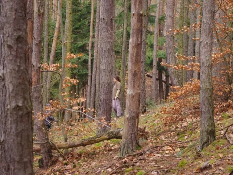 Aljaška