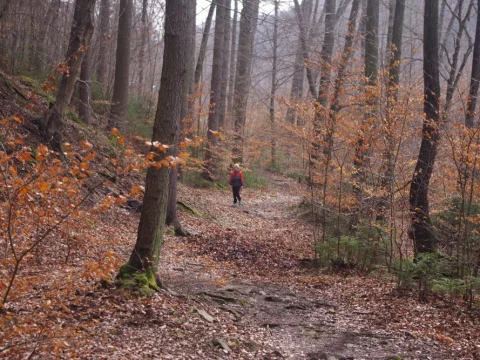 Aljaška