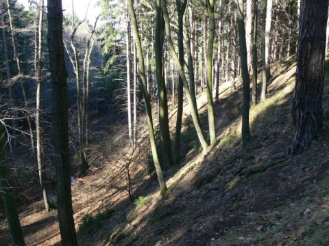 Aljašské loviště