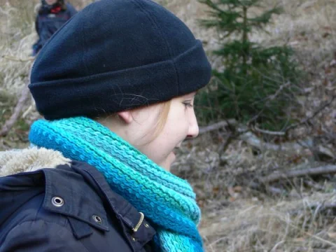 Verča