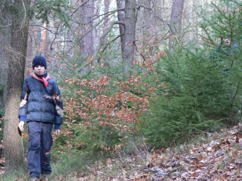 Vojta v lese