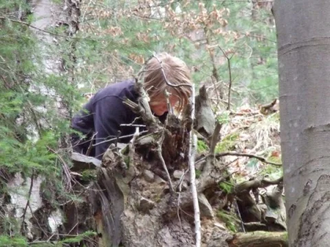 Pytlák a jeho skrýš