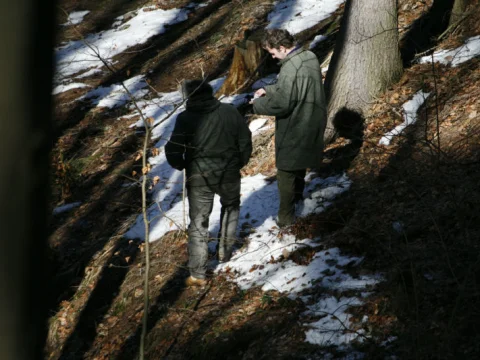 Aljaška