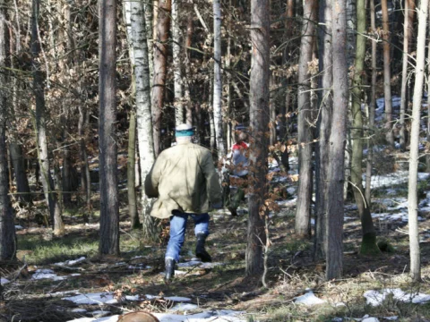 Aljaška