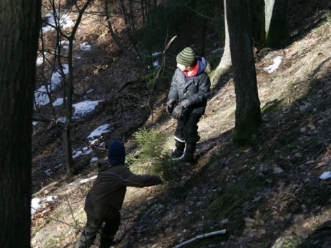 Aljaška