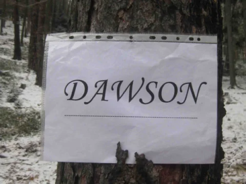 Dawson