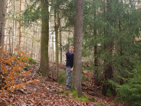 Aljaška