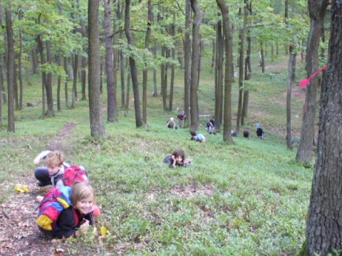 vrcholí