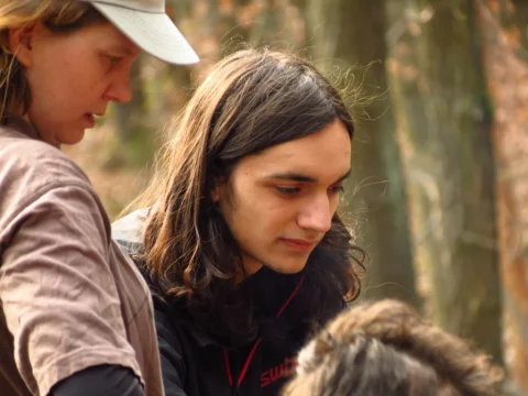 Dejvy