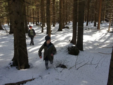 Čmelák 2016