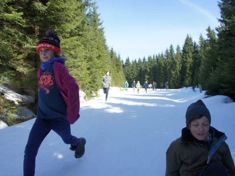 Čmelák 2016