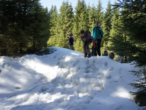 Čmelák 2016