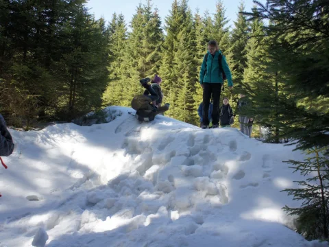 Čmelák 2016
