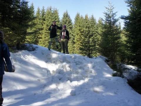 Čmelák 2016