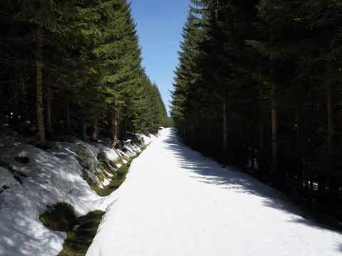 Čmelák 2016