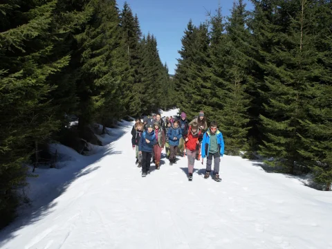 Čmelák 2016