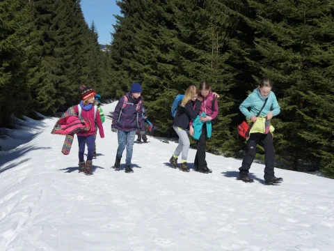 Čmelák 2016