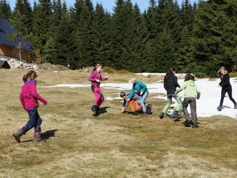 Čmelák 2016