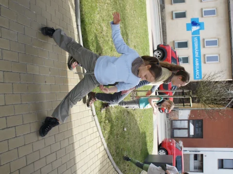 Čmelák 2016