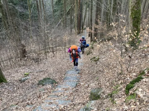 Čmelák 2025