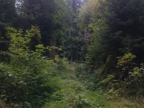 Tady už vlak asi nepojede
