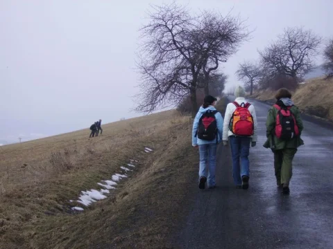 kluci na tom vydělali cca 1/2 min