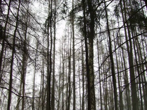 odsuď ji už nikdo nedostane