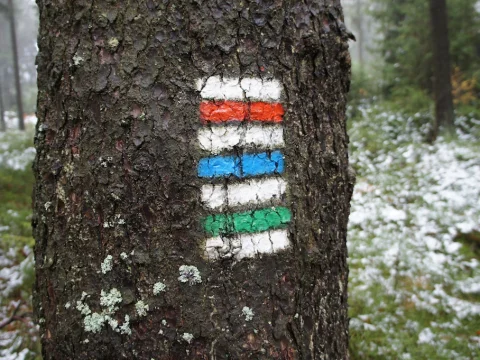Výlet