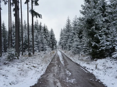 Výlet