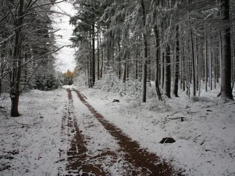 Výlet