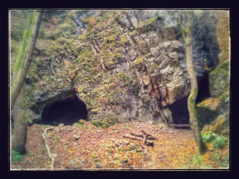 Liščí lom