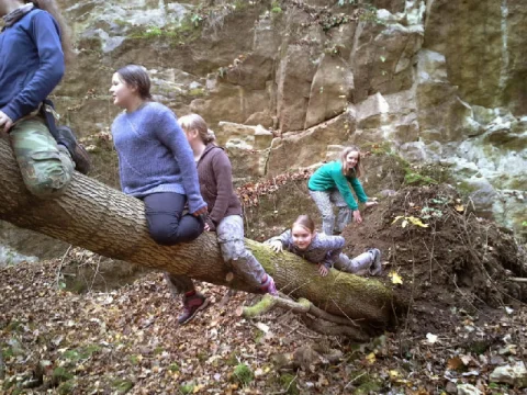 Tuláci na kládě
