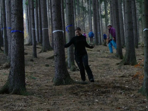 Ája