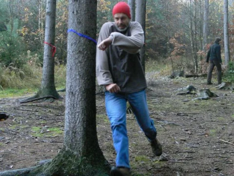 Ptáček