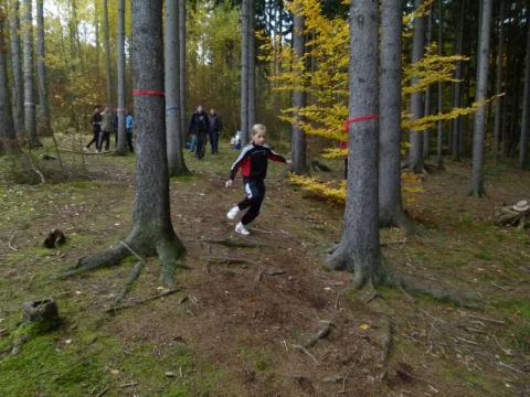 Lesní slalom 2012