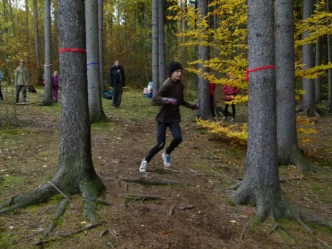 Lesní slalom 2012