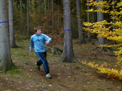 Lesní slalom 2012
