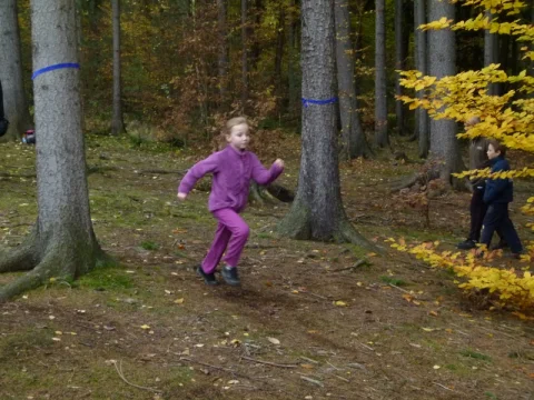 Lesní slalom 2012