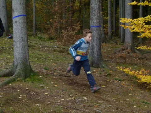 Lesní slalom 2012