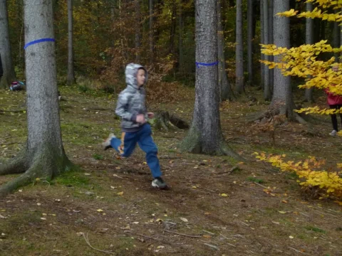 Lesní slalom 2012