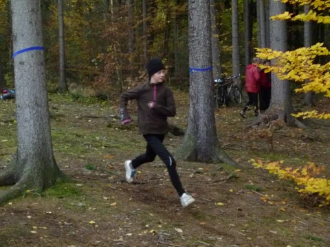 Lesní slalom 2012