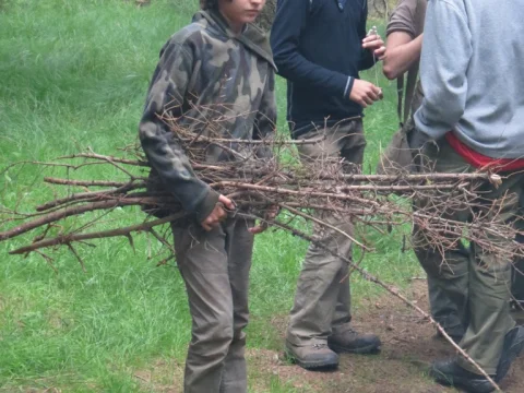 Miky se dřevem