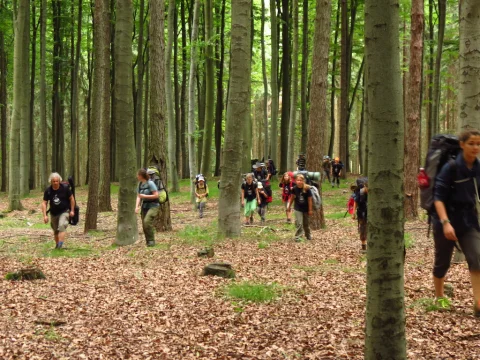 Cestou na tábor