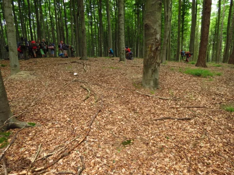 Cestou na tábor