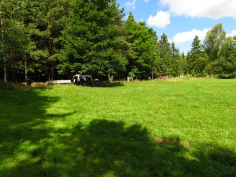 Příchod na louku