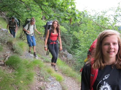 Výsadek